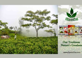 Remarkable perception-based venture – Havintha