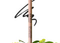 Premium Organic Skincare brand Lotus Organics+ introduces its 100% Natural Black Kajal