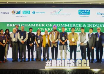 Blueprint for Clean Energy Future: BRICS Chamber of Commerce and Industry Hosts Energy Partnership Forum 2.0