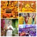 Divine Energy and Spectacular Celebrations at Krishna Shakti Mahotsav Under the Guidance of National Saint Vasant Vijay Ji Maharaj